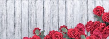 Kırmızı gül ve yer metniniz için banner