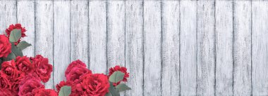 Kırmızı gül ve yer metniniz için banner