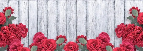 Banner z czerwonych róż i miejsce dla tekstu — Zdjęcie stockowe
