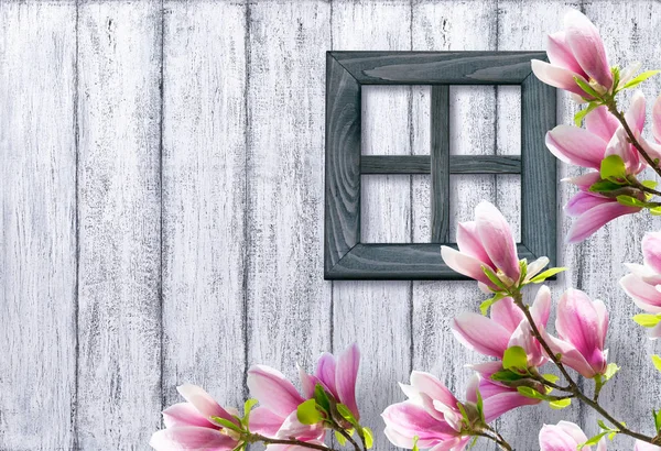 玉兰花上的木板墙和窗口背景 — 图库照片