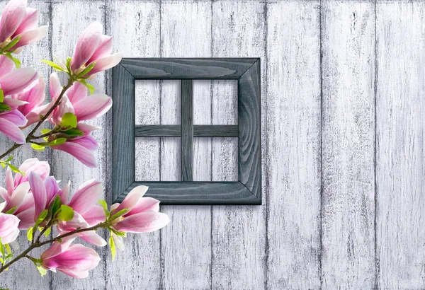 玉兰花上的木板墙和窗口背景 — 图库照片