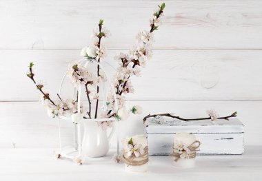 Mum ve eski tabut Shabby Chic tarzı ile kayısı çiçek