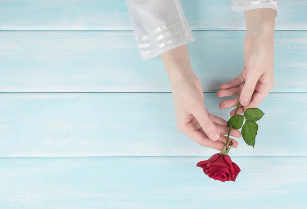 Les mains de la femme tient fleur rose rouge — Photo