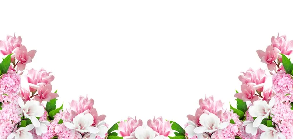 Beyaz arka plan üzerinde izole Manolya ve HORTENSIA çiçekler — Stok fotoğraf