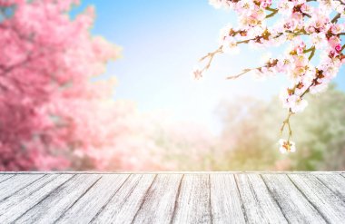 Sakura Shabby Chic tarzı ve bahar ağaçlarıyla ahşap tablo