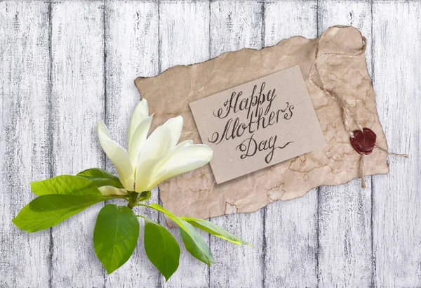 Magnolia fleur avec carte de voeux en papier pour la fête des mères — Photo