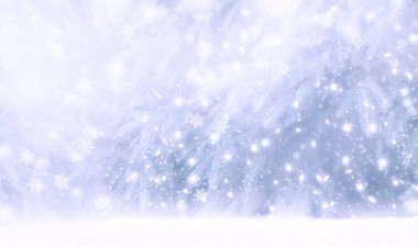 Kış arkaplanı, kar yağışı ve kar taneleri olan harika bir Noel kartı. Fantezi yeni yıl soyut doğa peri masalı manzarası karlı, ladin köknar ağacı ormanı