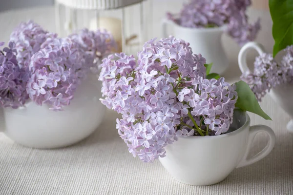 Room interior with gentle purple lilacs flower blossom in cups and birdcage on table, tender romantic spring home decor in morning light, decorating house with syringa in porcelain dishes, soft focus.