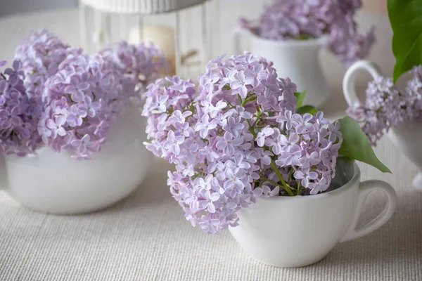 Kamer Interieur Met Zachte Paarse Seringen Bloem Bloesem Kopjes Vogelkooi — Stockfoto