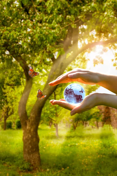 Tarjeta Para Día Mundial Tierra Día Del Árbol Bola Globo — Foto de Stock