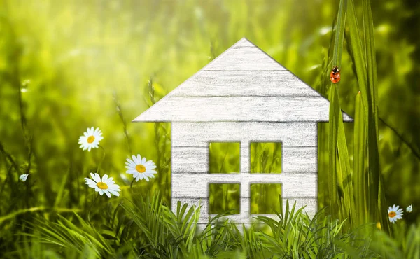 Eco Friendly Wooden House Model Green Grass Daisies Romomile Flower — стоковое фото