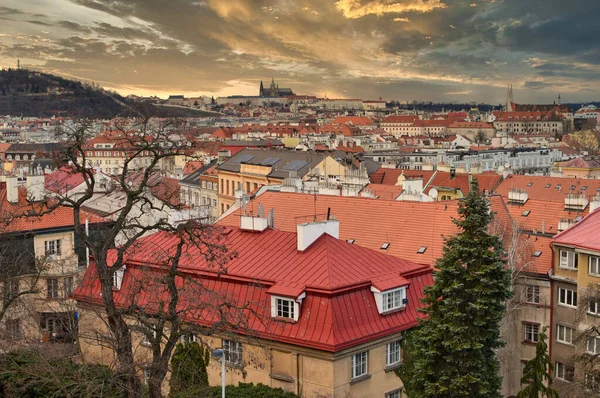 Kameramı 2020 'nin ilk bahar yürüyüşüne Prag' daki Vysehrad kalesine götürüyorum.