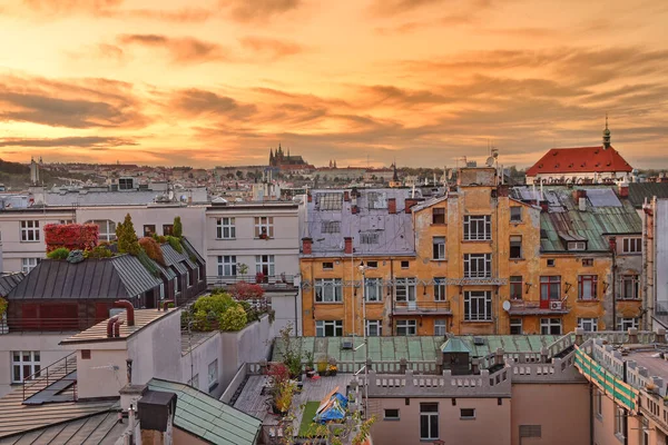 Güzel günbatımını izlemek için Prag 'ın çatısını gezdim.