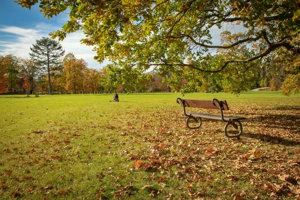 Prag Güzel Parklarından Birinde Renkli Bir Sonbahar — Stok fotoğraf