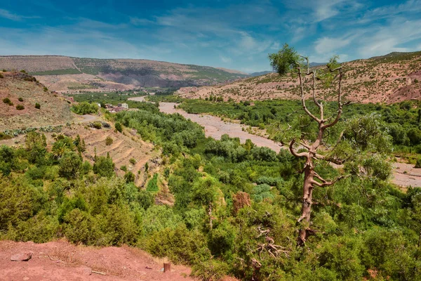 Fas 'taki Atlas Dağı' nın nefes kesici manzarasının tadını çıkarıyorum.