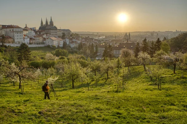 Güzel gündoğumunda bir erken kalkan kuş fotoğrafçısı daha görüldü.