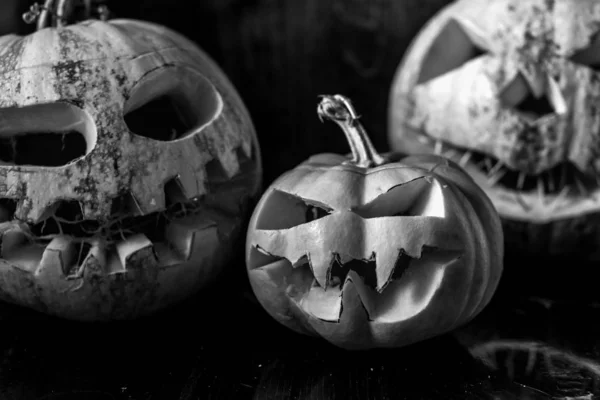 Stor Halloween Pumpa Svart Bakgrund — Stockfoto