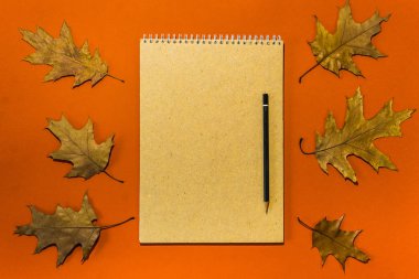 Metniniz için yer olan soyut sonbahar kağıdı arkaplanı