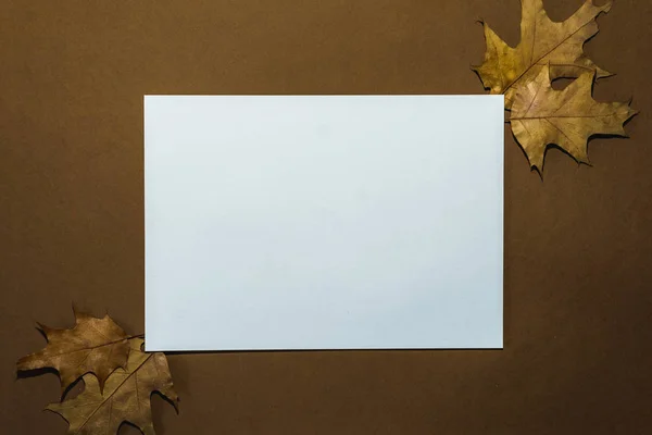 Metniniz için yer olan soyut sonbahar kağıdı arkaplanı