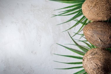 Hindistan cevizi ve bir şişe hindistan cevizi palmiyesi yağı. Sağlıklı gıda vegan aromaterapi kavramı