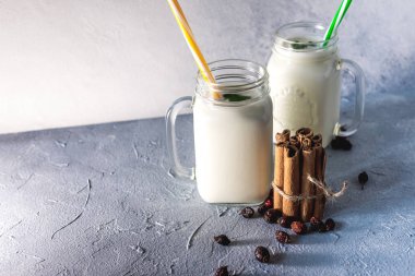 Gri arka planda baharat ve otlarla ev yapımı kefir, kopyalama alanı. Probiyotik Ayran