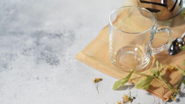 A gyógynövényekből és citrusokból származó hasznos teát átlátszó pohárba öntik könnyű háttérrel — Stock videók