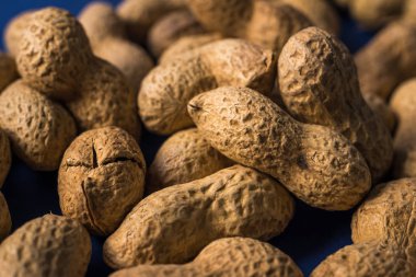 Bir yığın kavrulmuş fıstık ve modaya uygun mavi bir arka plan. Tasarım ve metnin için yer var. konsept. tarım