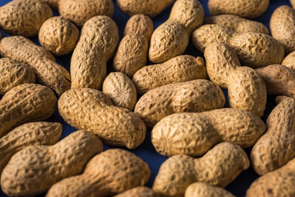 Bir yığın kavrulmuş fıstık ve modaya uygun mavi bir arka plan. Tasarım ve metnin için yer var. konsept. tarım