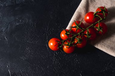 Koyu bir arka planda izole edilmiş vişneli domates dalı. Üst Manzara. Taze vişneli domates.