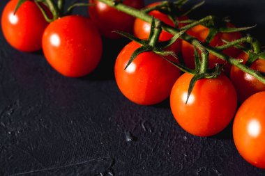 Koyu bir arka planda izole edilmiş vişneli domates dalı. Üst Manzara. Taze vişneli domates.