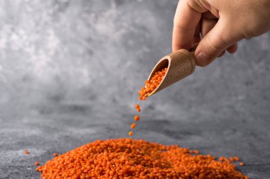 Gri arka planda mercimek ahşap kaşıkta kırmızı mercimek ve yakın plan sağlıklı yiyecek.