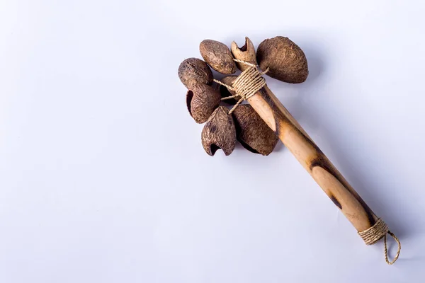 Maracas Música Tradição Som Instrumento Musical Isolado Fundo Branco — Fotografia de Stock