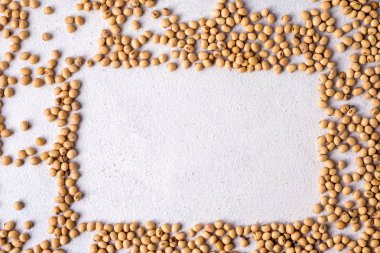  Çiğ Yeşil Sağlıklı Mercimek Sağlıklı Yeme Yakın çekim