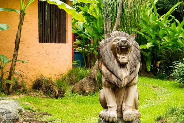 Ahşap aslan heykeli — Stok fotoğraf