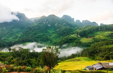 Tay dağ görünümünde