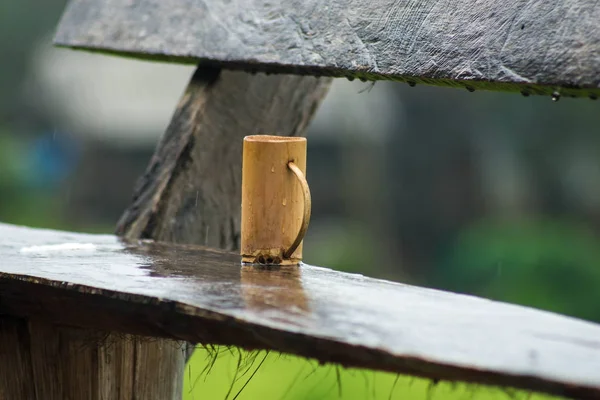 Bambusbecher, handgefertigt — Stockfoto