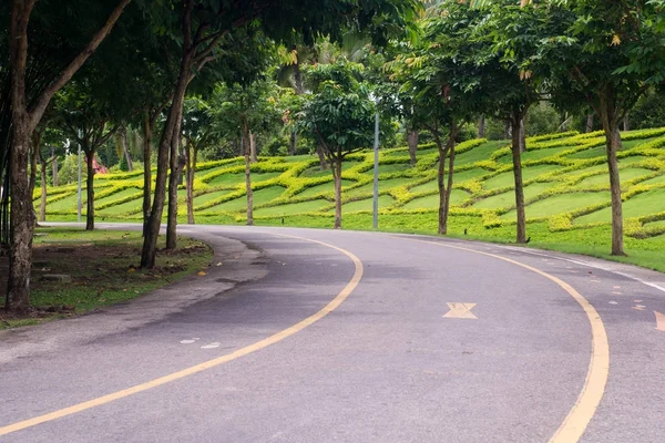 在公园路 — 图库照片