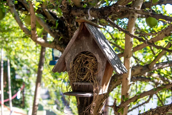 Vogelnest aus Holz lizenzfreie Stockfotos