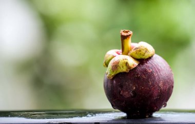 Su damlaları ve yeşil bokeh arkaplanlı siyah zemin üzerinde mangosteen meyveleri