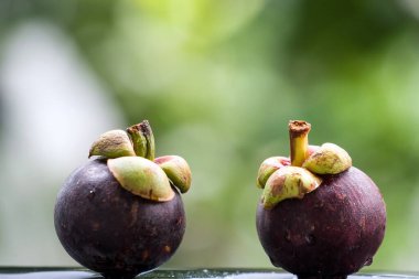 Su damlaları ve yeşil bokeh arkaplanlı siyah zemin üzerinde mangosteen meyveleri