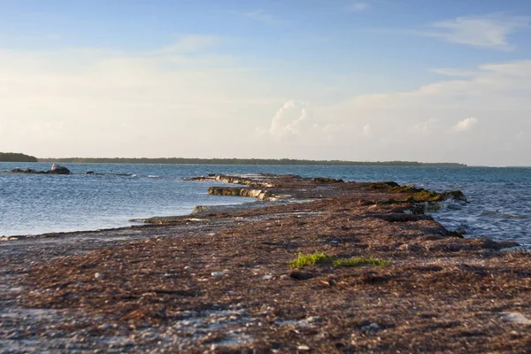 Florida Keys kayalık bir noktasında açısından