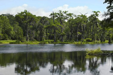 Wakulla Springs State Park Florida bir nehir aşağı sürüklenen
