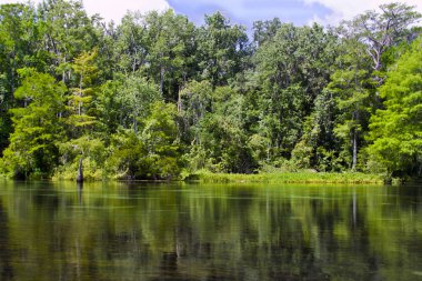 Wakulla Springs State Park Florida bir nehir aşağı sürüklenen