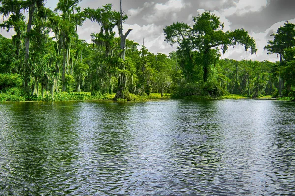 Vesluje Řeka Wakulla Prameny State Park Floridě — Stock fotografie