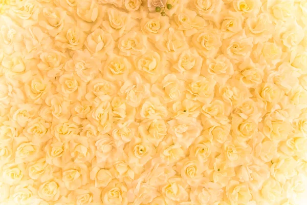 Eine Gruppe Rosen, im weichen Stil für den Hintergrund — Stockfoto