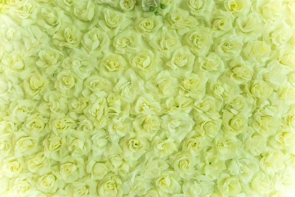 Grupa róż, w miękki styl tło — Zdjęcie stockowe