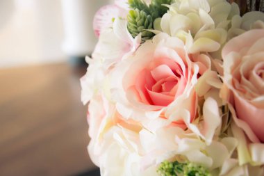 bulanıklık odak pembe Gül güzel çiçekler seçin