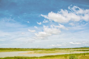 Yaz aylarında göl manzara