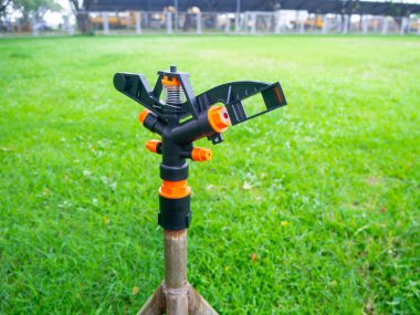 Bahçedeki çimenleri ve bitkileri sulamak Springer 'ın seçici odak noktasıdır..