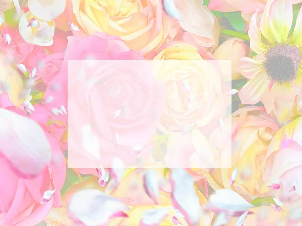 Cumprimentos Desejos Citações Texto Rosa Branco Rosas Buquê Fundo Floral — Fotografia de Stock